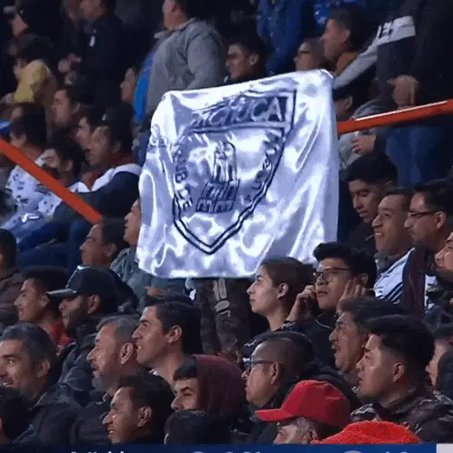 CF Pachuca Flag at Liga MX Match