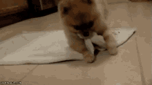 GIF อัปโหลดโดย Kan Unique(⁠≧⁠▽⁠≦⁠)カンイヤー