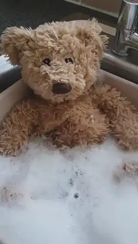 Teddy Bear Farting in Bath
