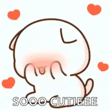 Your So Cute Mini Seb