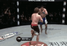 GIF