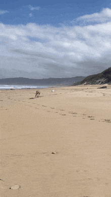 GIF