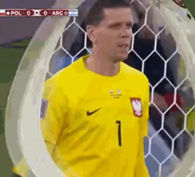 Football: Poland Goalkeeper's Reaction vs Argentina