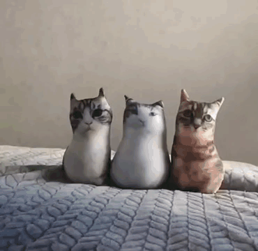 Смешные коты и падающий арбуз
