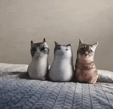 Смешные коты и падающий арбуз