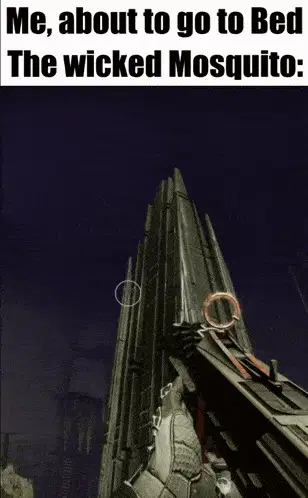 Sundered Doctrine Destiny 2 Mosquito Meme