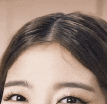 GIF 이미지