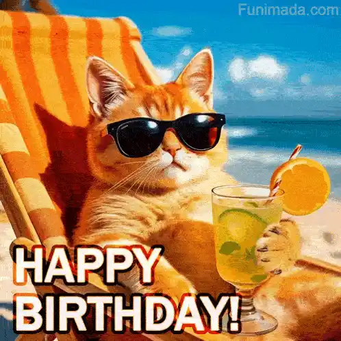 Happy Birthday Wishes: Cool Cat on Beach