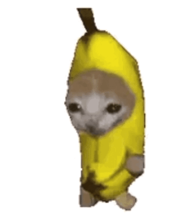 Banana Cat Walking