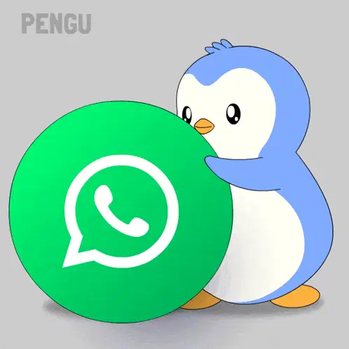 Pengu Pudgy with WhatsApp Icon