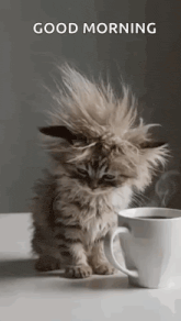 GIF-tiedoston lisäsi S