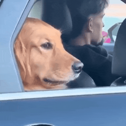 l93e0ea2Mjcs7Tp.gif