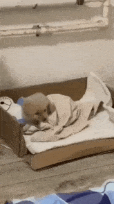 GIF gi-upload ni Dani