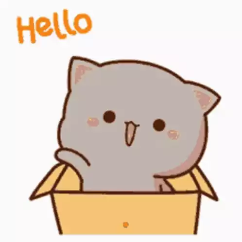 Mochi Mochi Peach Cat Waves Hello from Box