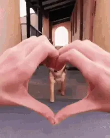 Cute Shiba Inu Heart Hands & Squish