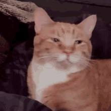 GIF dodany przez Loch