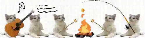 Cats Camping