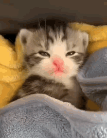 GIF yashyizweho na Jasmin