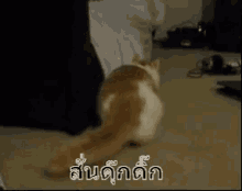 GIF uploaded by Pandora