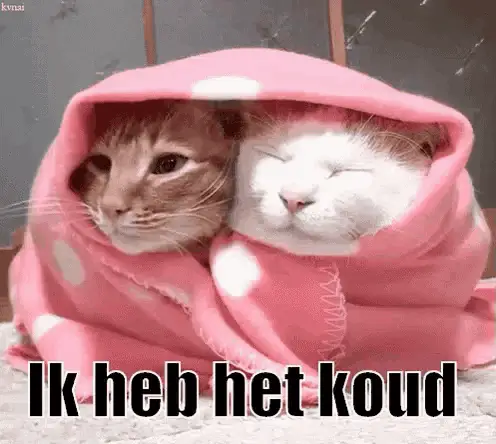 Vries: Ik Heb Het Koud