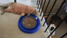 GIF uploaded by Sky