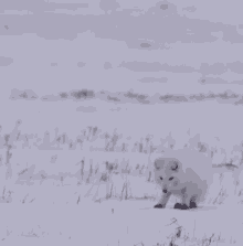 GIF uploaded by ms Mia