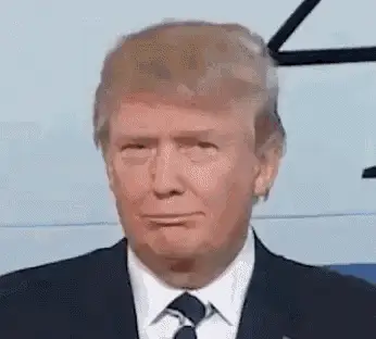 Donald Trump's Funny Reaction – free GIF download