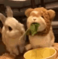 Stuffed Animals Share Food