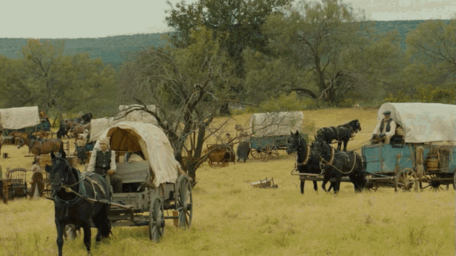Pioneers Driving Horse and Buggy in 1883