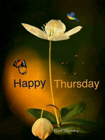 Happy Thursday Morning Wishes
