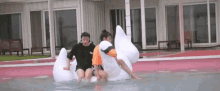 GIF 이미지