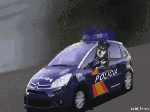 Policia Dog Driving Police Car