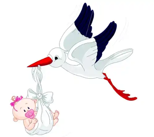 Stork Carrying Baby Girl