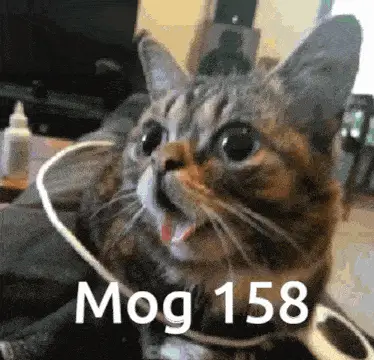 Mogcat 158 with Text Overlay