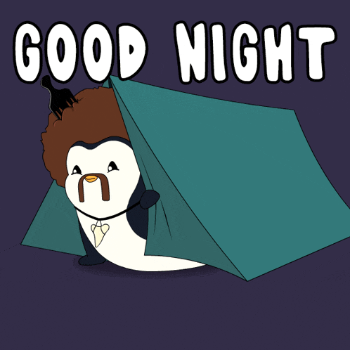 Penguin Good Night Sleep