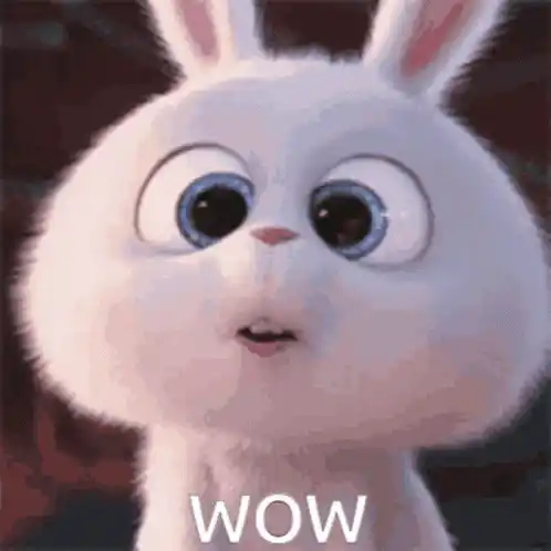 Cute Bunny's 'Wow' Reaction