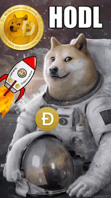 Dedcel Digibyte: Doge HODL To The Moon