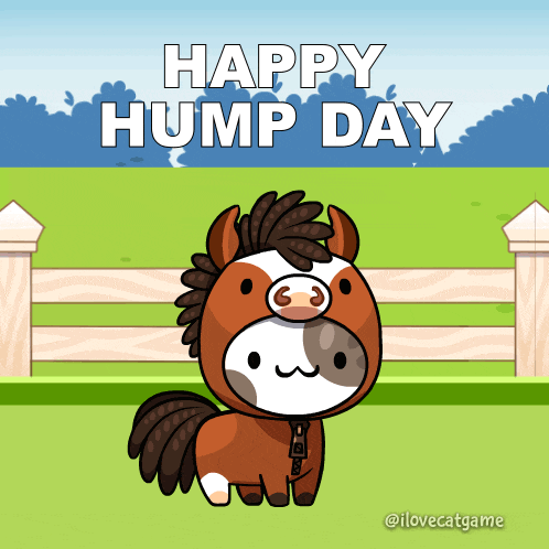 Happy Hump Day with Cute Horse