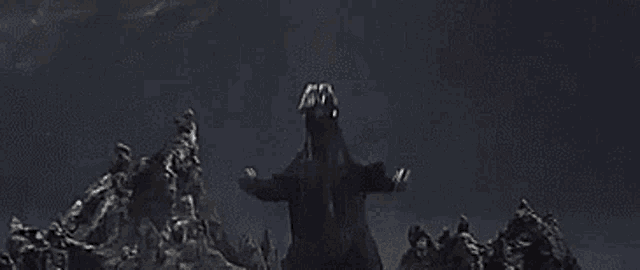 User Comment Image
