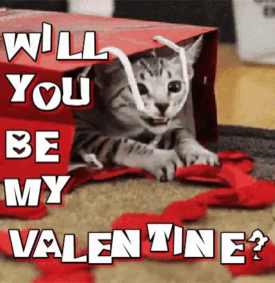 Will You Be My Valentine? Cute Kitten in a Bag