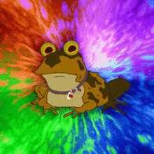 GIF