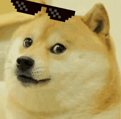 Doge Deal With It