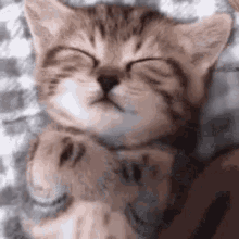 GIF 이미지