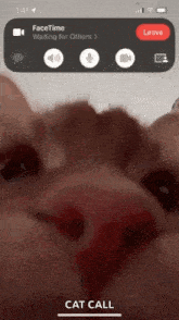 uNvae iunncóf de niarcsoeint de vdeoi (30 Susgdnoe aimmox)