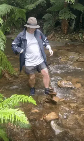 Kick Meme