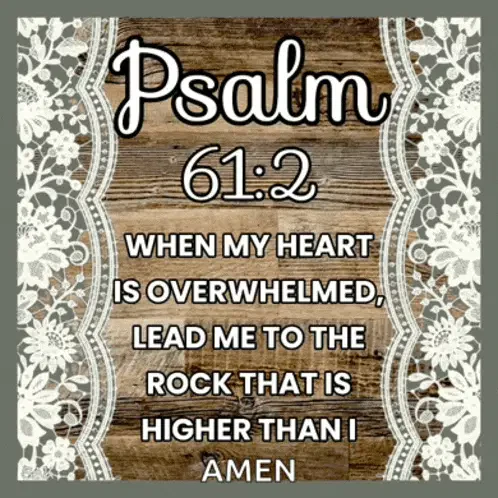 Bible Bible Verse Meme