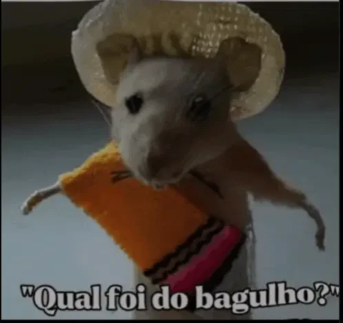 Qual Foi Do Bagulho Meme