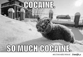 Cocaine Meme
