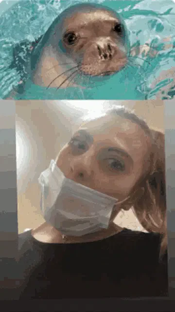 Marta Foca Meme