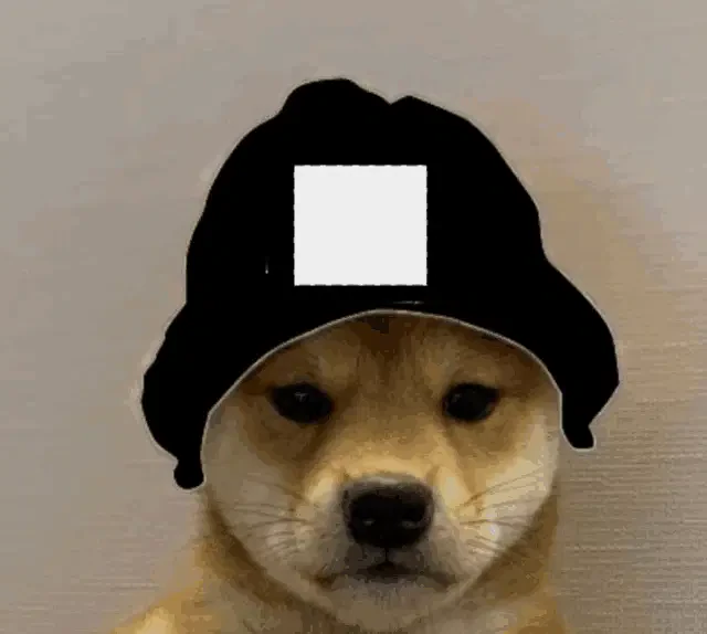 Doggy Meme